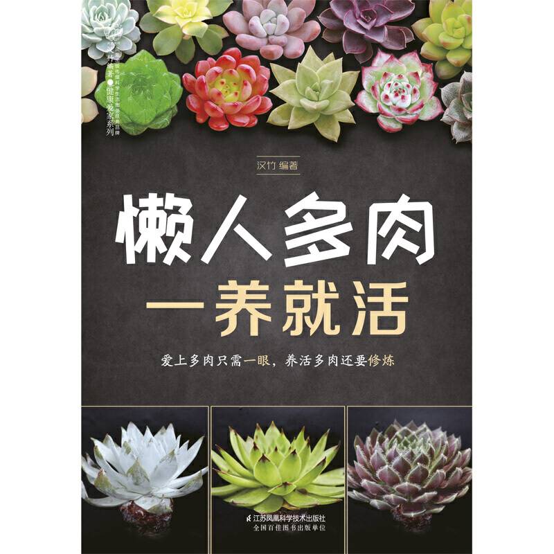 懒人多肉一养就活