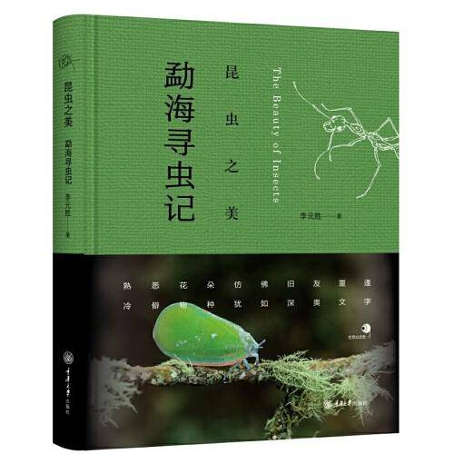 昆虫之美