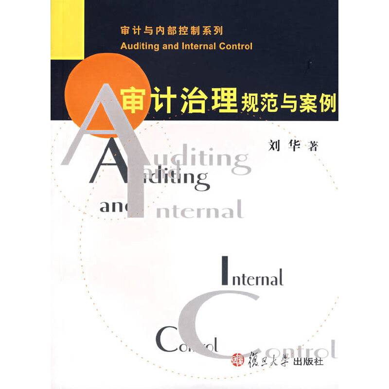 审计治理规范与案例