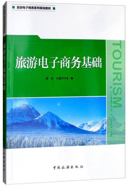 旅游电子商务基础/旅游电子商务系列规划教材