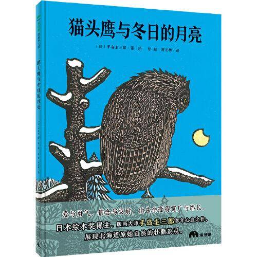 猫头鹰与冬日的月亮