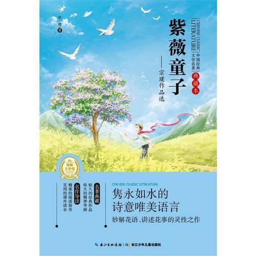 中国经典文学名著·典藏本：紫薇童子——宗璞作品选