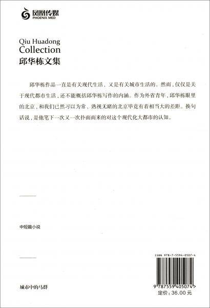 邱华栋文集：城市中的马群