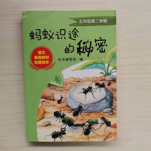 蚂蚁识途的秘密