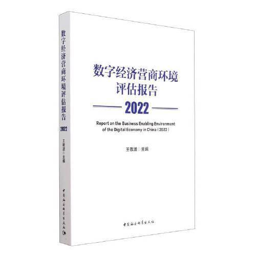 数字经济营商环境评估报告（2022）