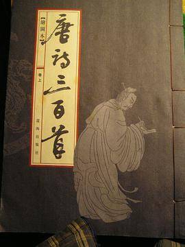 唐诗宋词元曲三百首绘图本