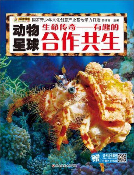 生命传奇：有趣的合作共生