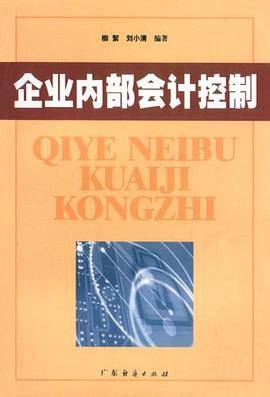 企业内部会计控制