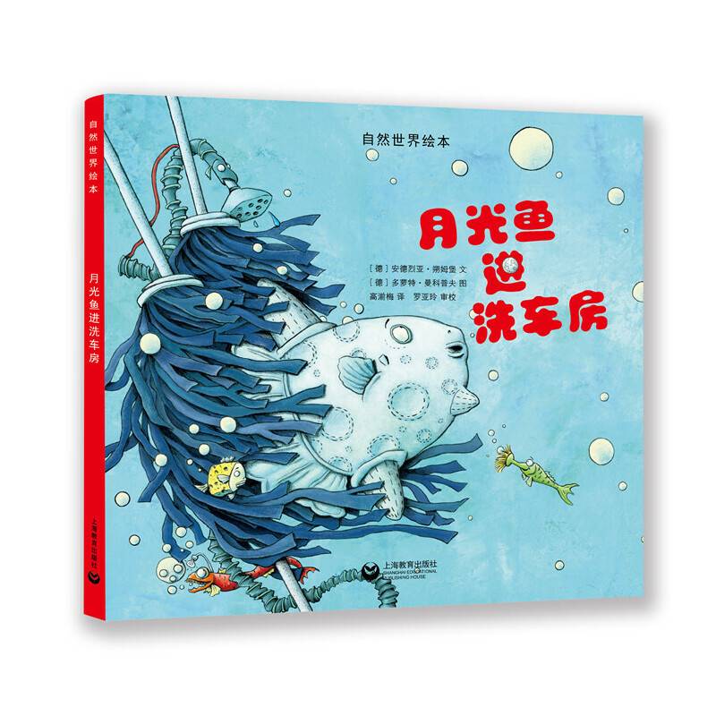 月光鱼进洗车房