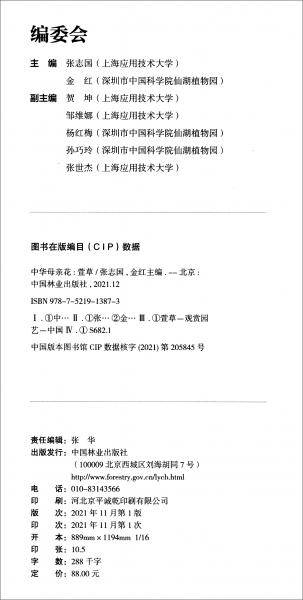 中华母亲花：萱草