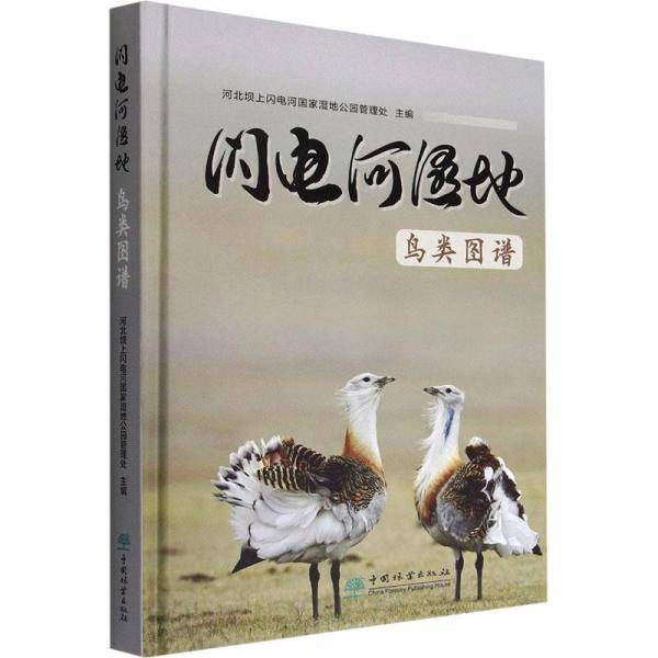闪电河湿地鸟类图谱 生物科学