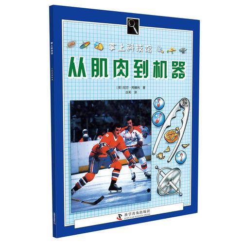 中国蝙蝠图案