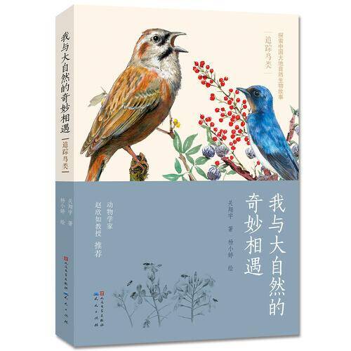 我与大自然的奇妙相遇・追踪鸟类