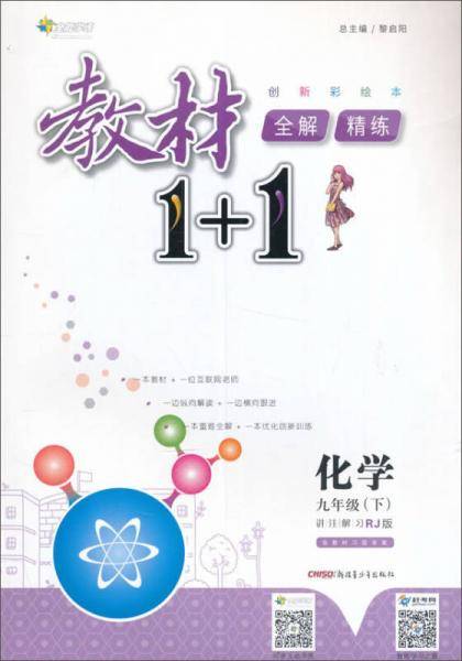 九年级 化学（下 人教版）