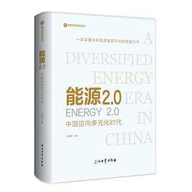 能源2.0：中国迈向多元化时代