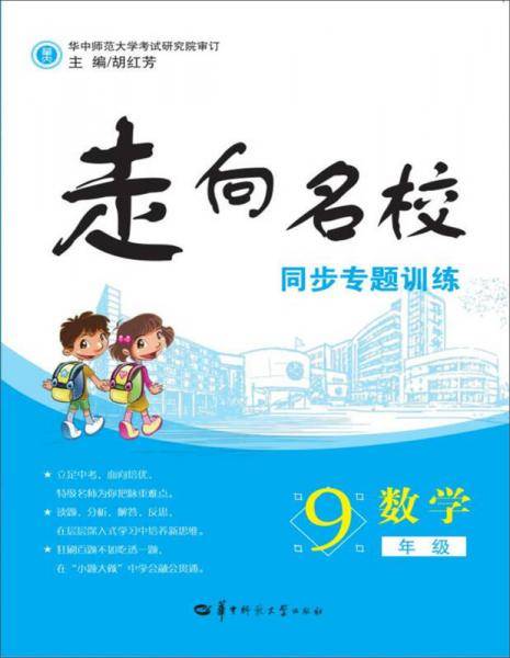 走向名校·同步专题训练：数学（九年级）