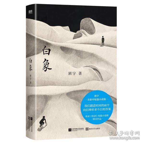 白象 班宇全新中短篇小说集