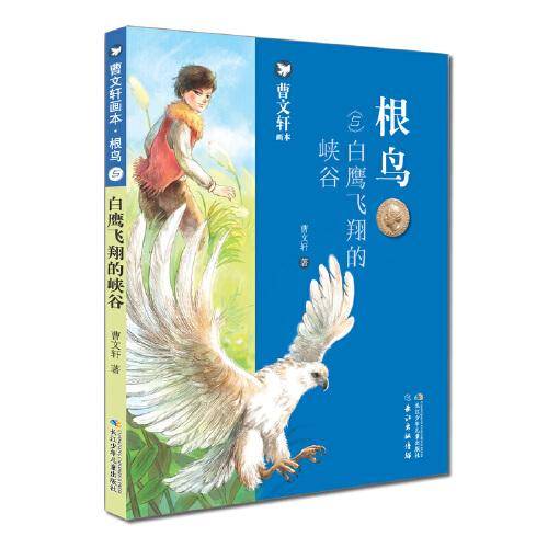 白鹰飞翔的峡谷