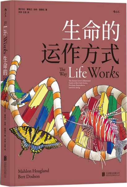 生命的运作方式