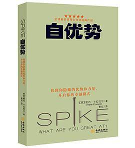 自优势:找到你隐藏的优势和力量、开启你的卓越模式