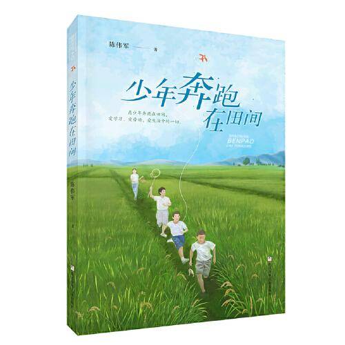 少年奔跑在田间