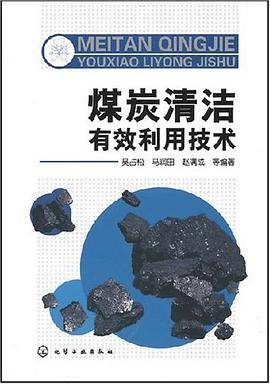 煤炭清洁有效利用技术