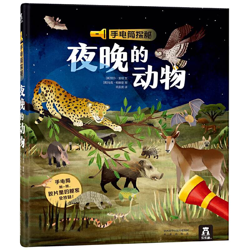手电筒探秘夜晚的动物