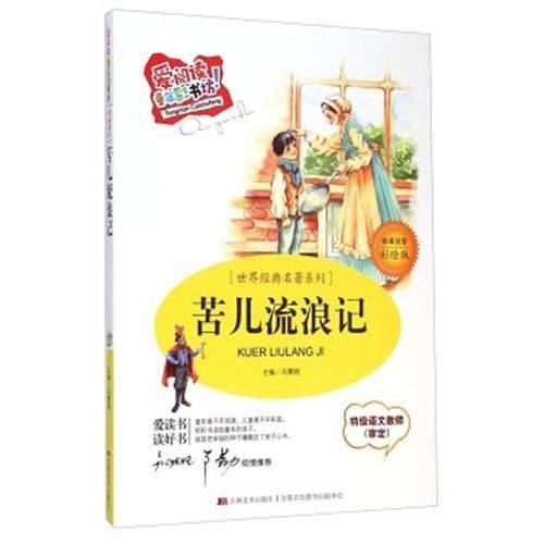 苦儿流浪记
