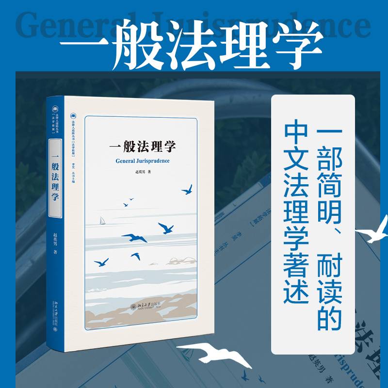 一般法理学 法律人进阶丛书