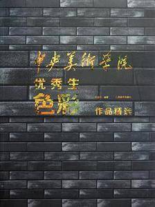 中央美术学院优秀生色彩作品精选
