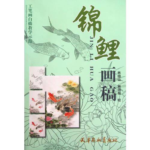 锦鲤画稿