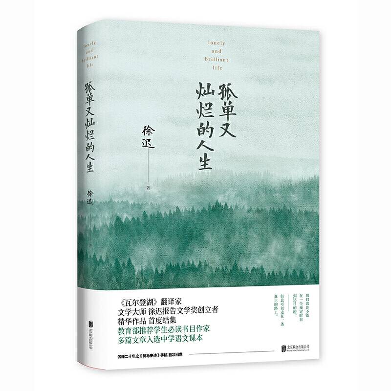 孤单又灿烂的人生