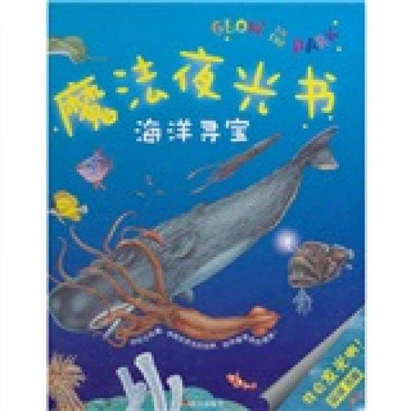 魔法夜光书