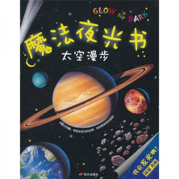 魔法夜光书