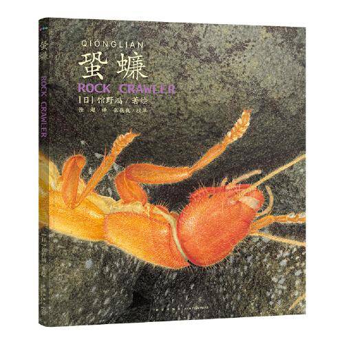 馆野鸿昆虫手绘：蛩蠊（精装）