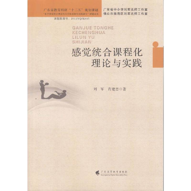 感觉统合课程化理论与实践