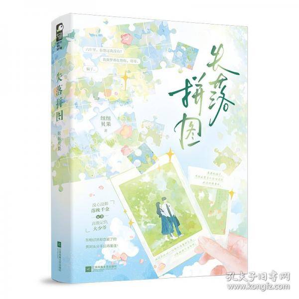 失落拼图