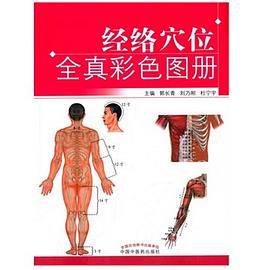 经络穴位全真彩色图册