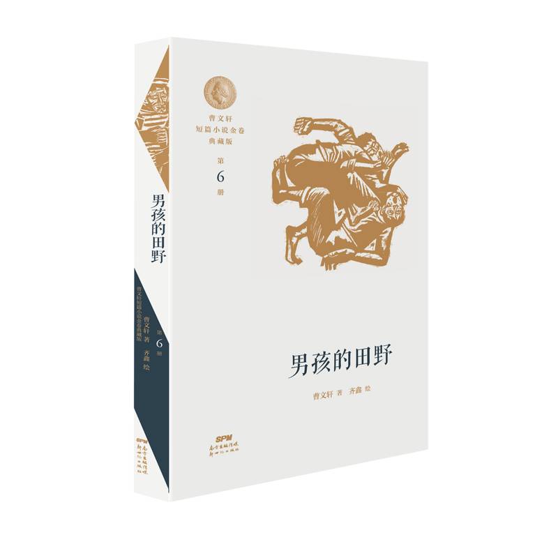 曹文轩短篇小说金卷典藏版6：男孩的田野