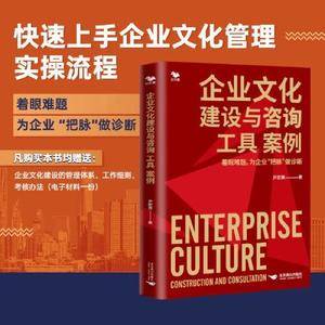 企业文化建设与咨询工具 案例-企业文化诊断 案例工具拿来就用 识干家图书