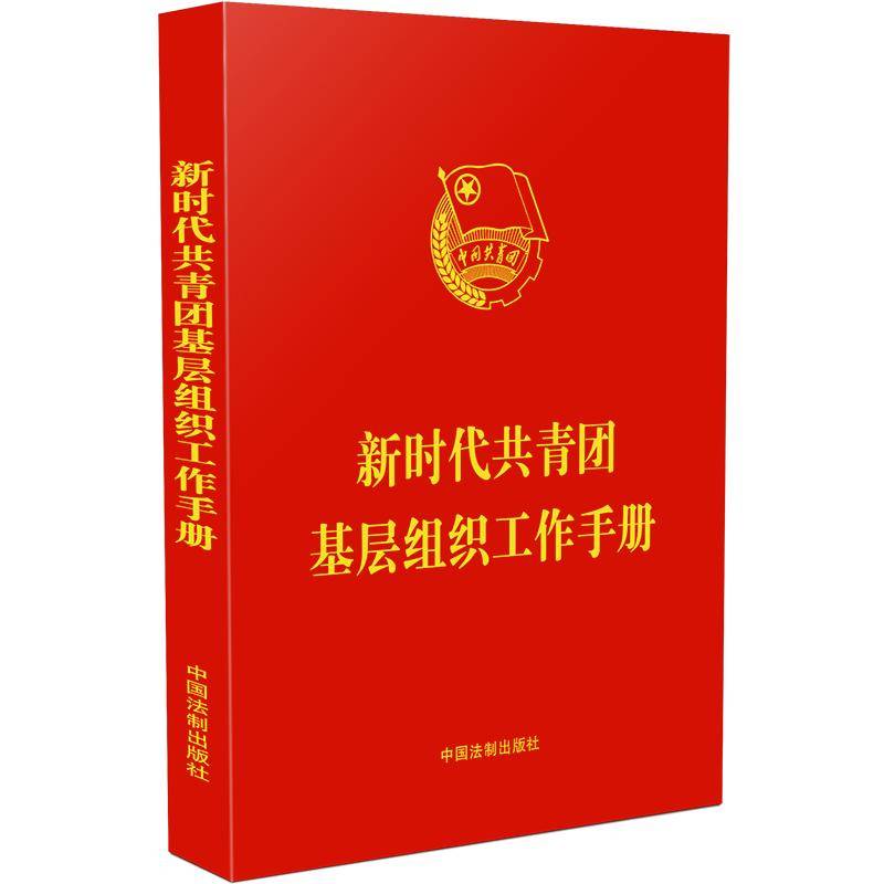 新时代共青团基层组织工作手册