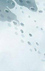 总量控制与排污权交易