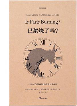 巴黎烧了吗