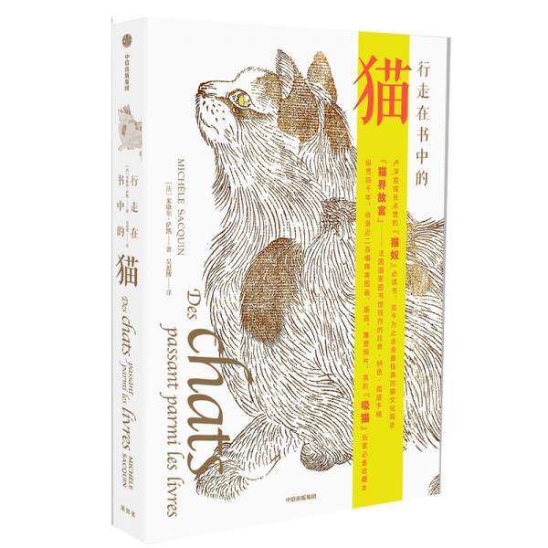 行走在书中的猫