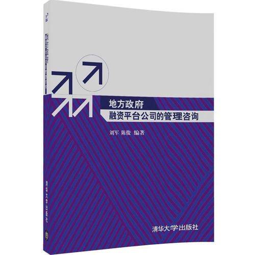 地方政府融资平台公司的管理咨询