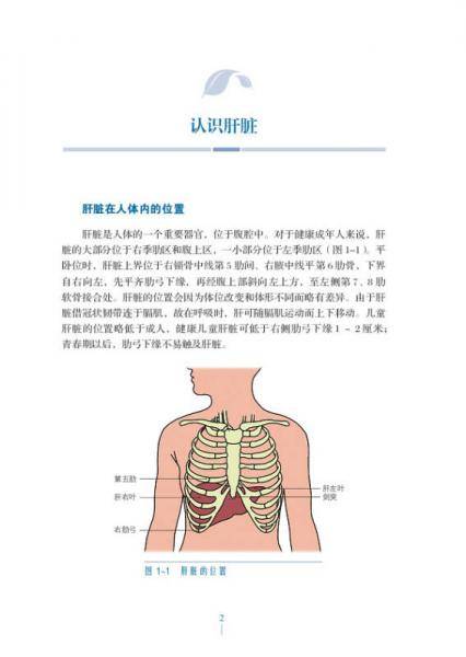 中国脂肪肝防治指南（科普版）