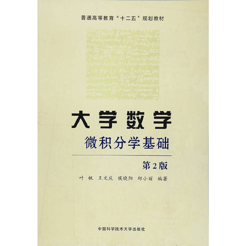 大学数学：微积分学基础（第2版）