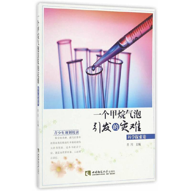 一个甲烷气泡引发的灾难・科学探索卷