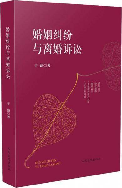婚姻纠纷与离婚诉讼