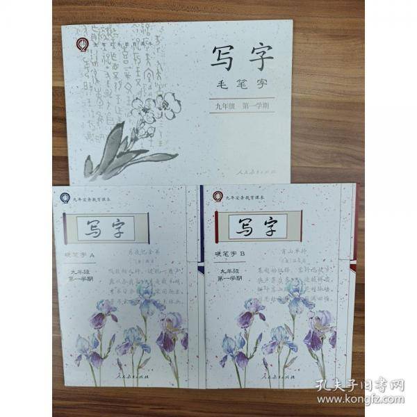 写字 九年级第一学期